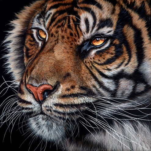 Predator by Gina Hawkshaw - Original Painting on Box Canvas